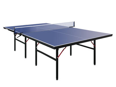 Indoor Table Tennis Table/PingPong table XP501